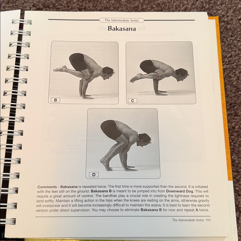 Ashtanga Yoga Practice Manual Book - Picture 3 of 3